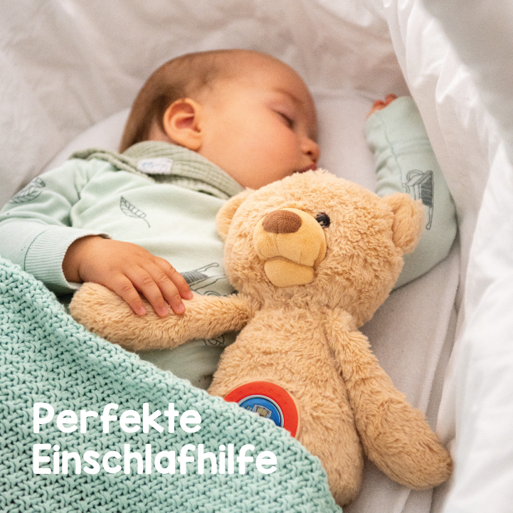 Exklusives Kisu Bundle (Theodore + Exklusiver Weihnachtszauber Audiochip)