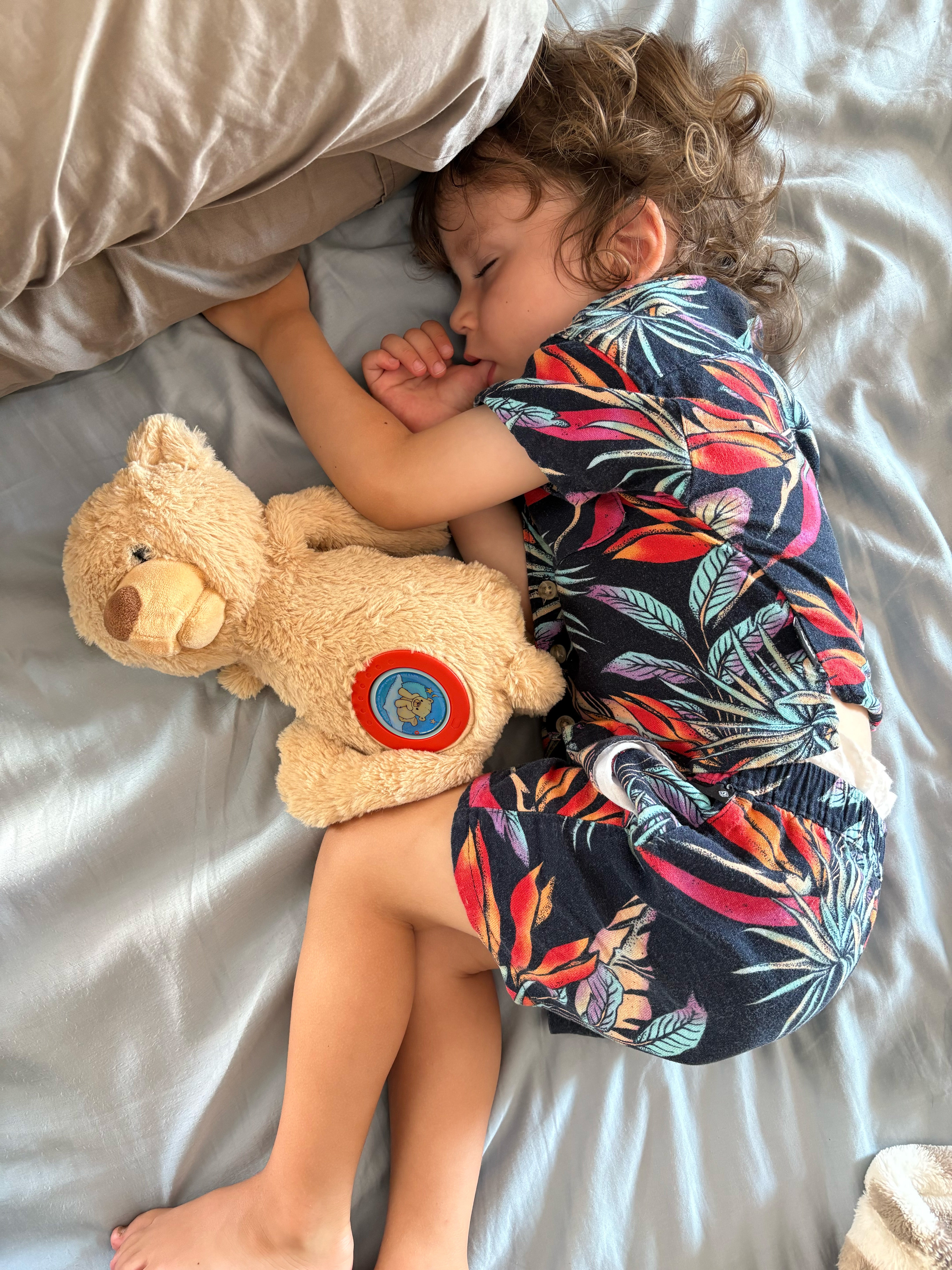 Theodore's Weihnachtszauber Bundle