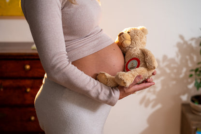 Theodore's Weihnachtszauber Bundle